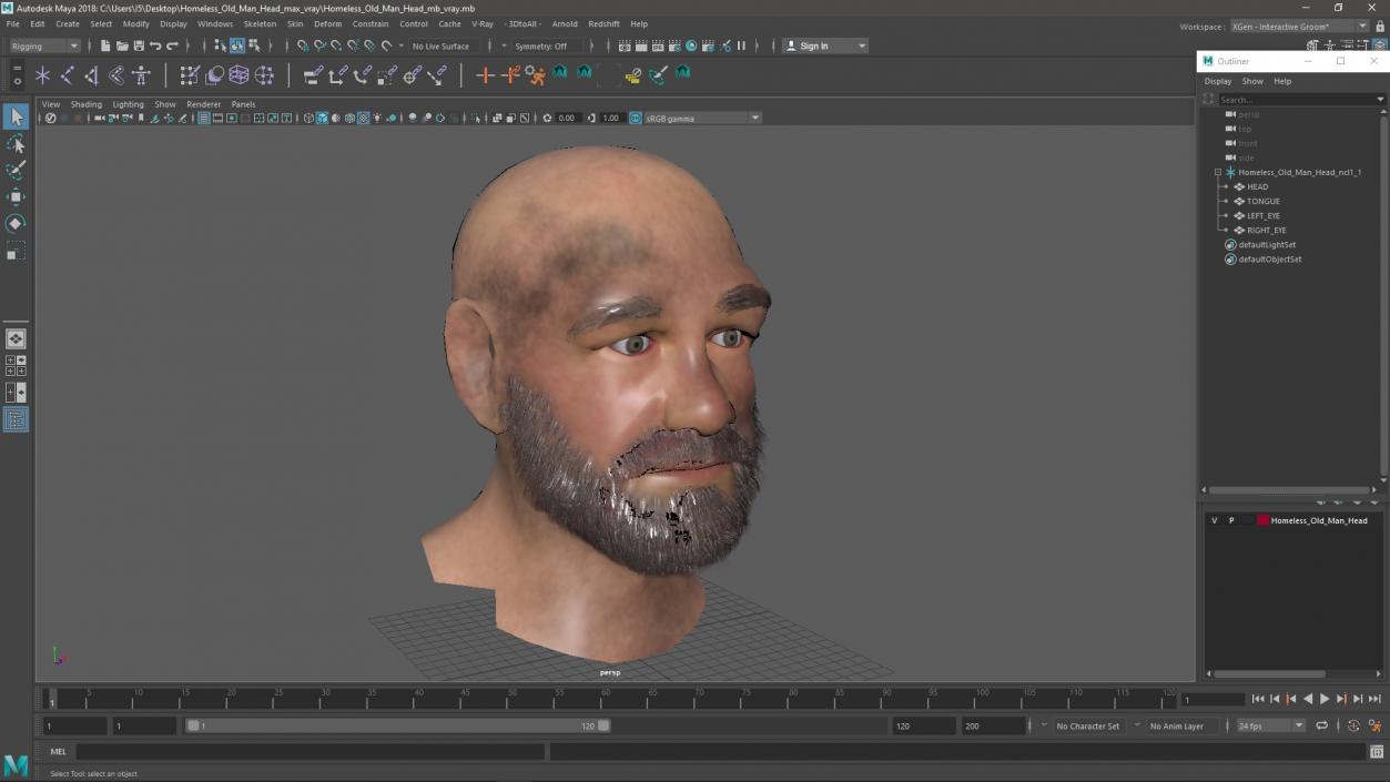 3D Homeless Old Man Head