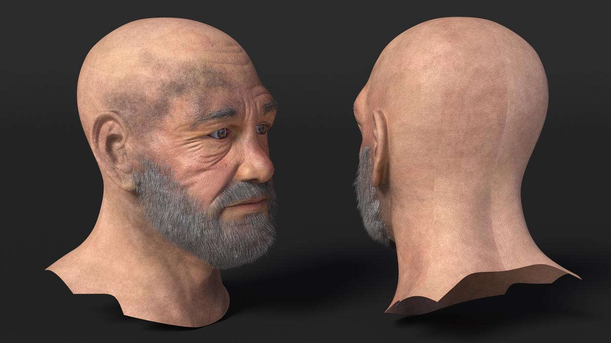 3D Homeless Old Man Head