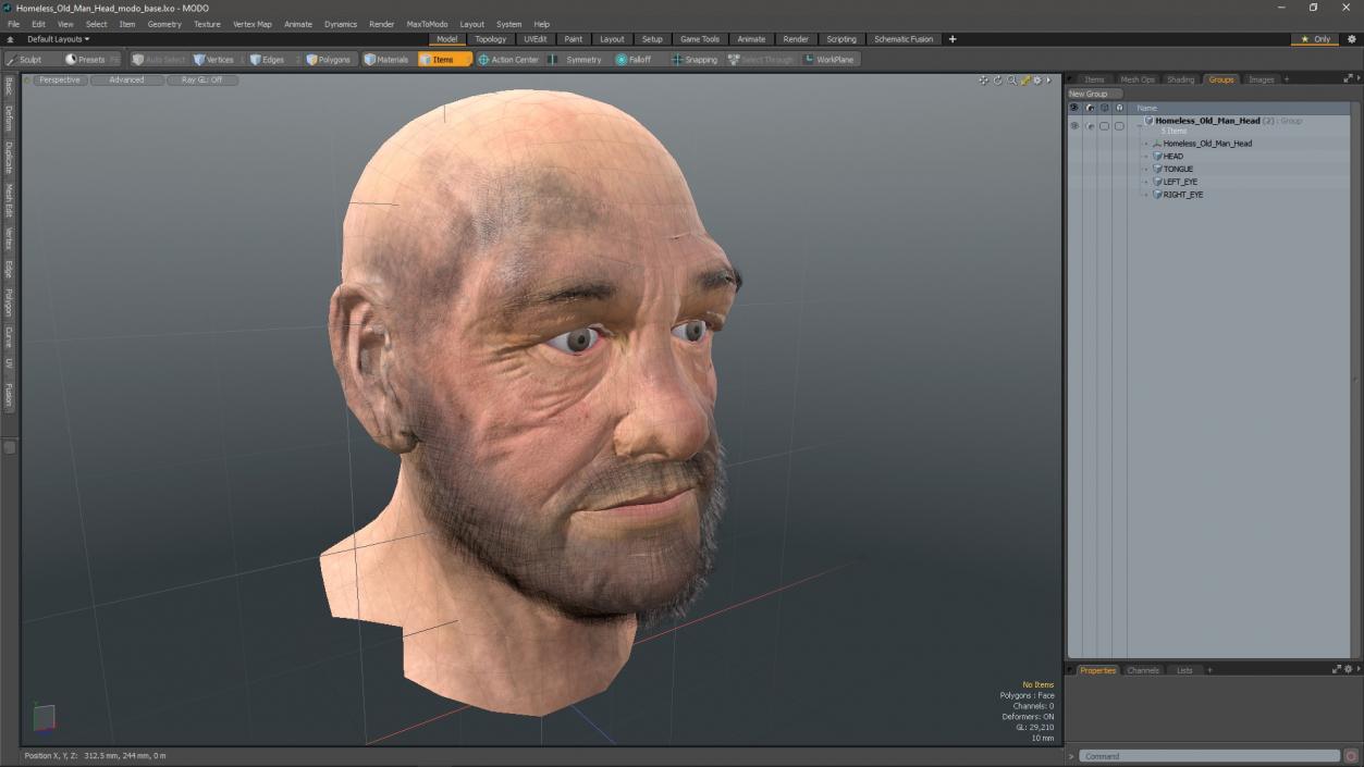 3D Homeless Old Man Head