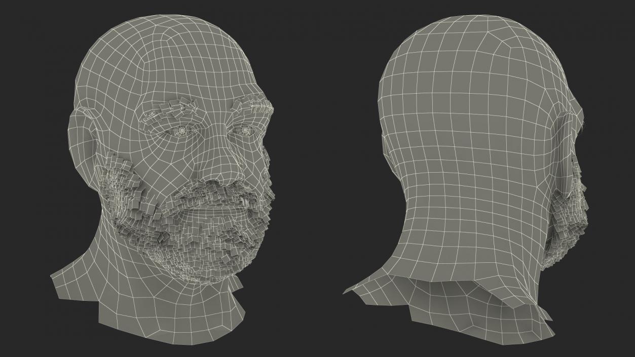 3D Homeless Old Man Head