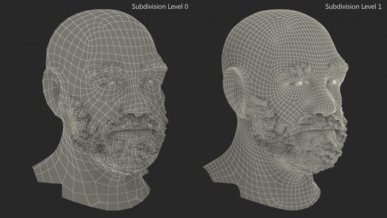 3D Homeless Old Man Head