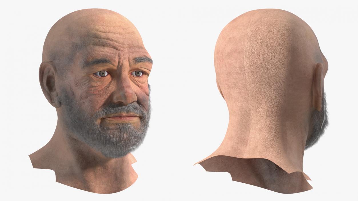 3D Homeless Old Man Head