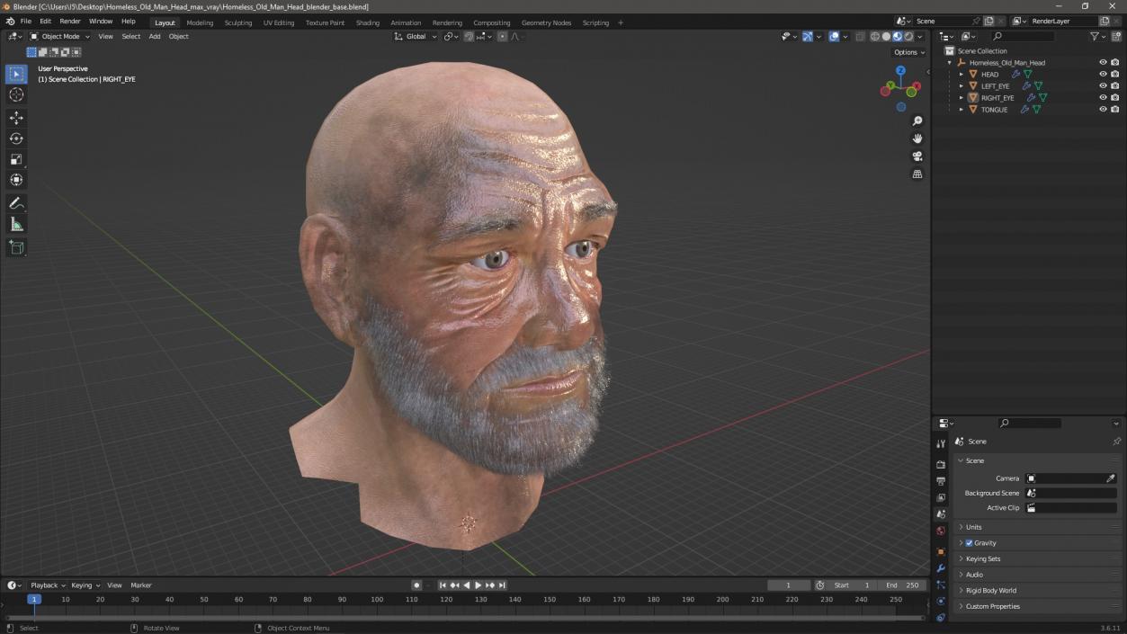 3D Homeless Old Man Head