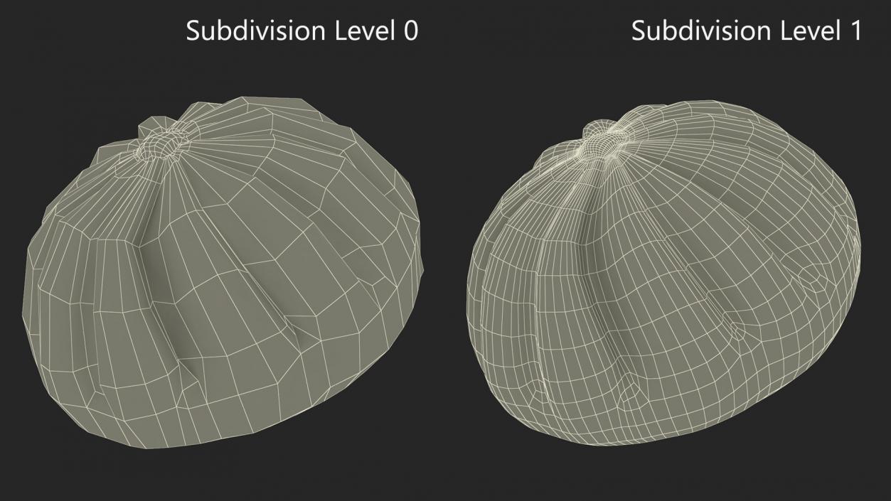 3D Asian Dumpling Raw for 3D Print 2 model