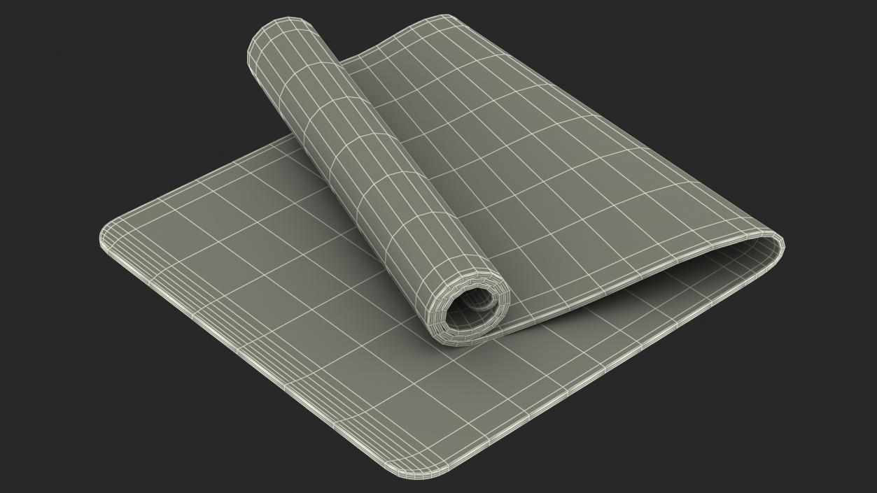 3D model Yoga Mat Folded Cork