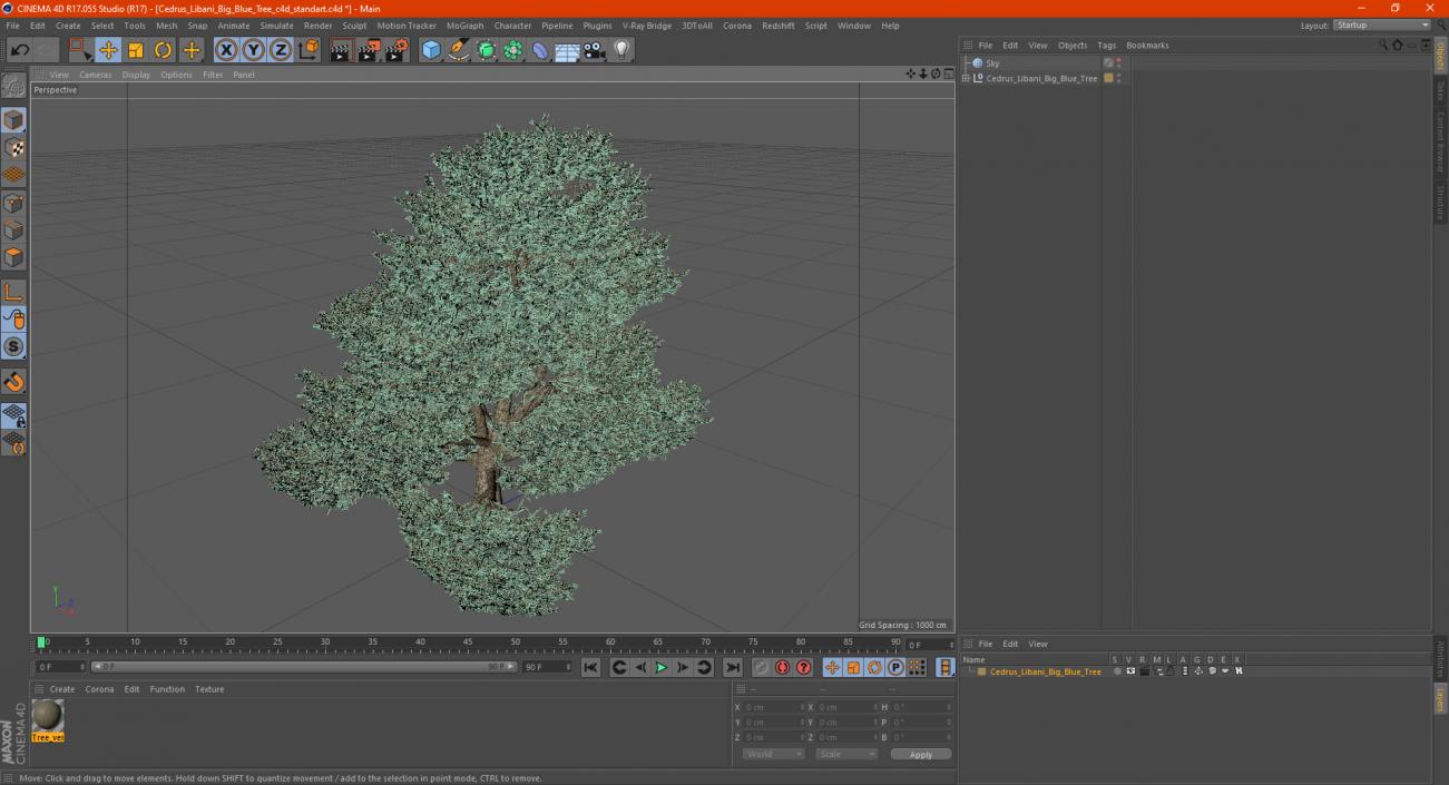 Cedrus Libani Big Blue Tree 3D