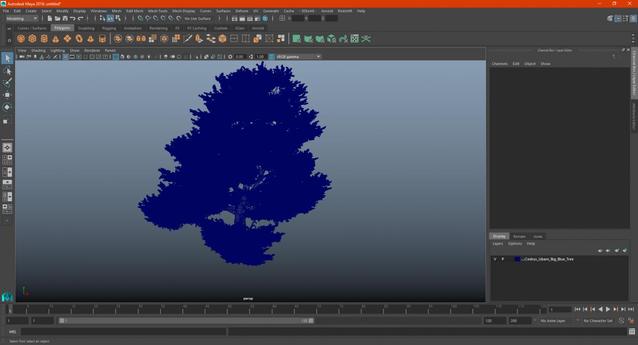 Cedrus Libani Big Blue Tree 3D