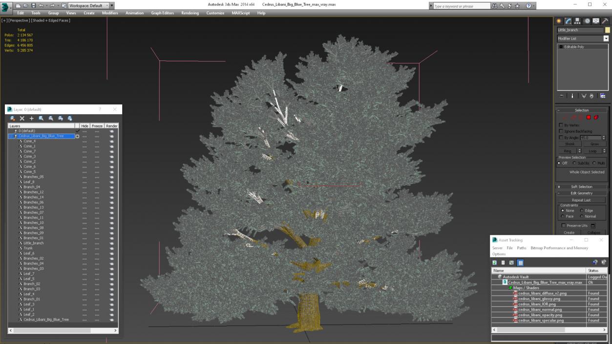 Cedrus Libani Big Blue Tree 3D