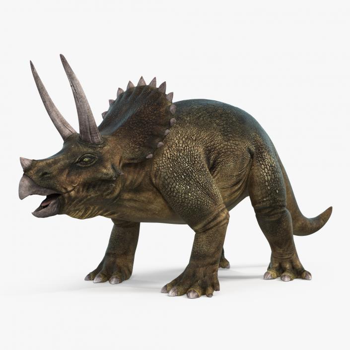 3D model Dinosaurs Collection