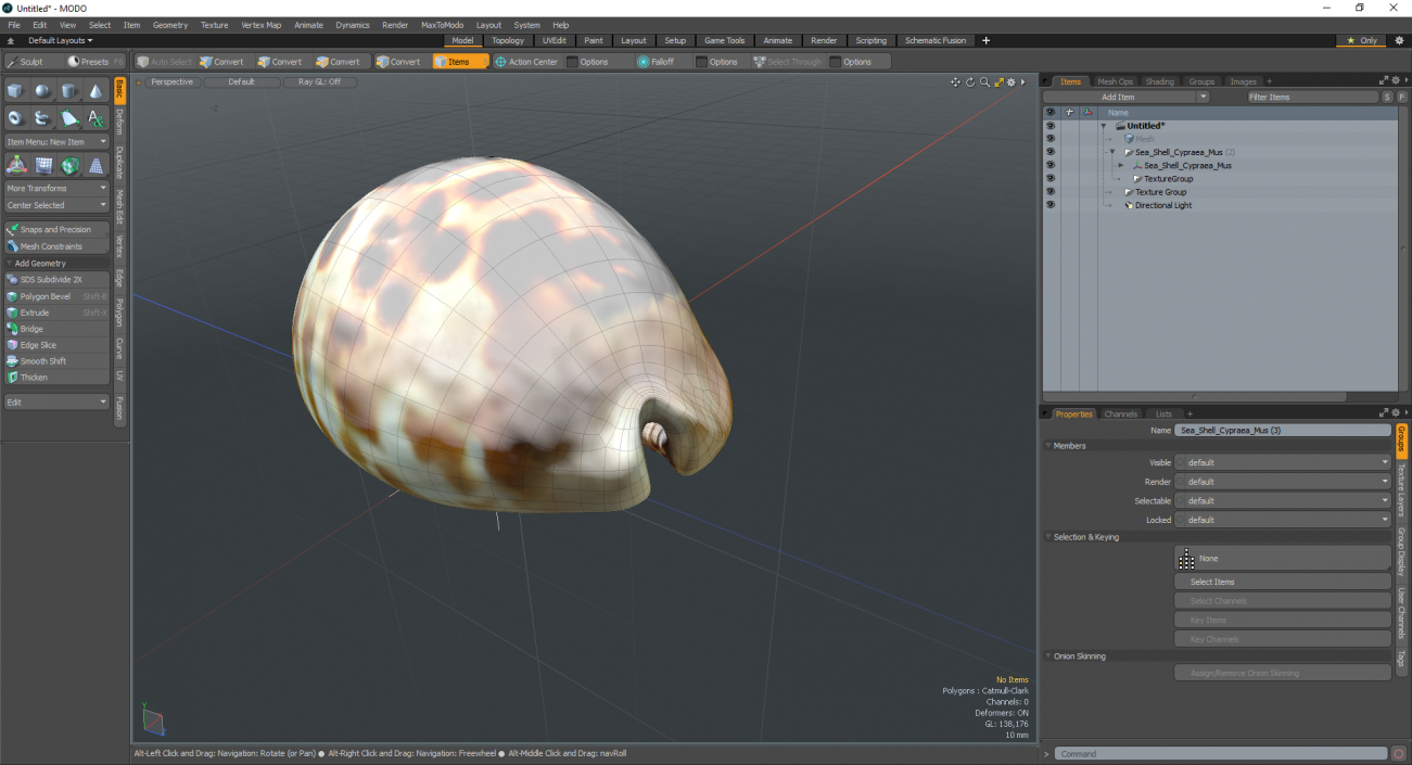 3D Sea Shell Cypraea Mus