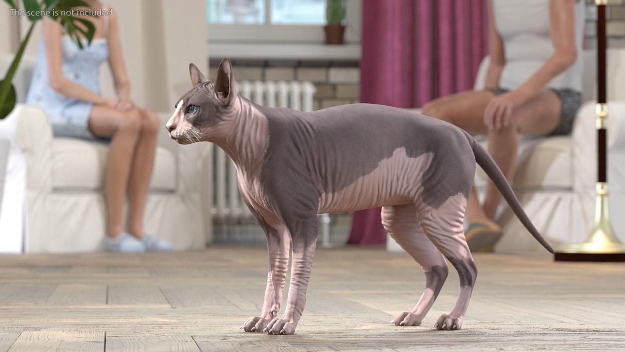 3D Rigged Sphynx Cat with Cat Scratching Post Collection model