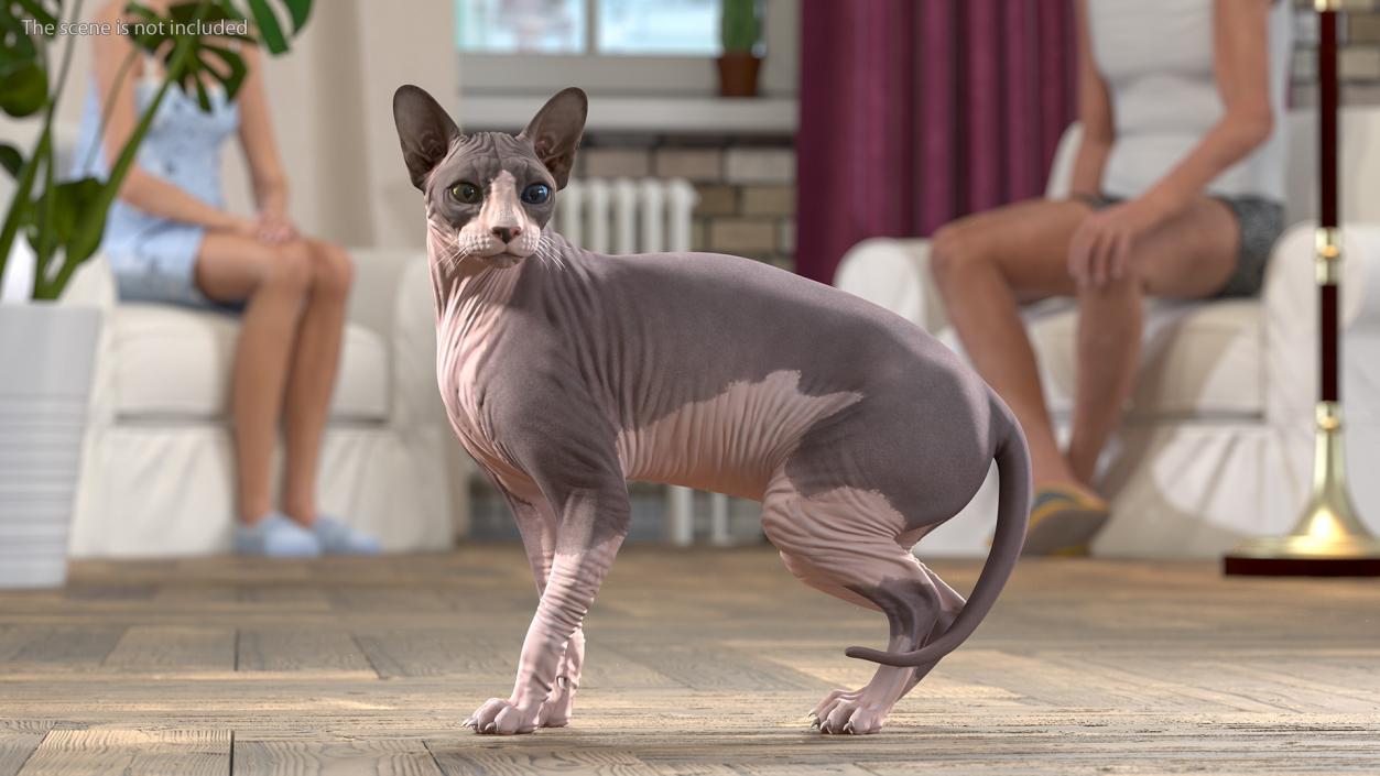 3D Rigged Sphynx Cat with Cat Scratching Post Collection model