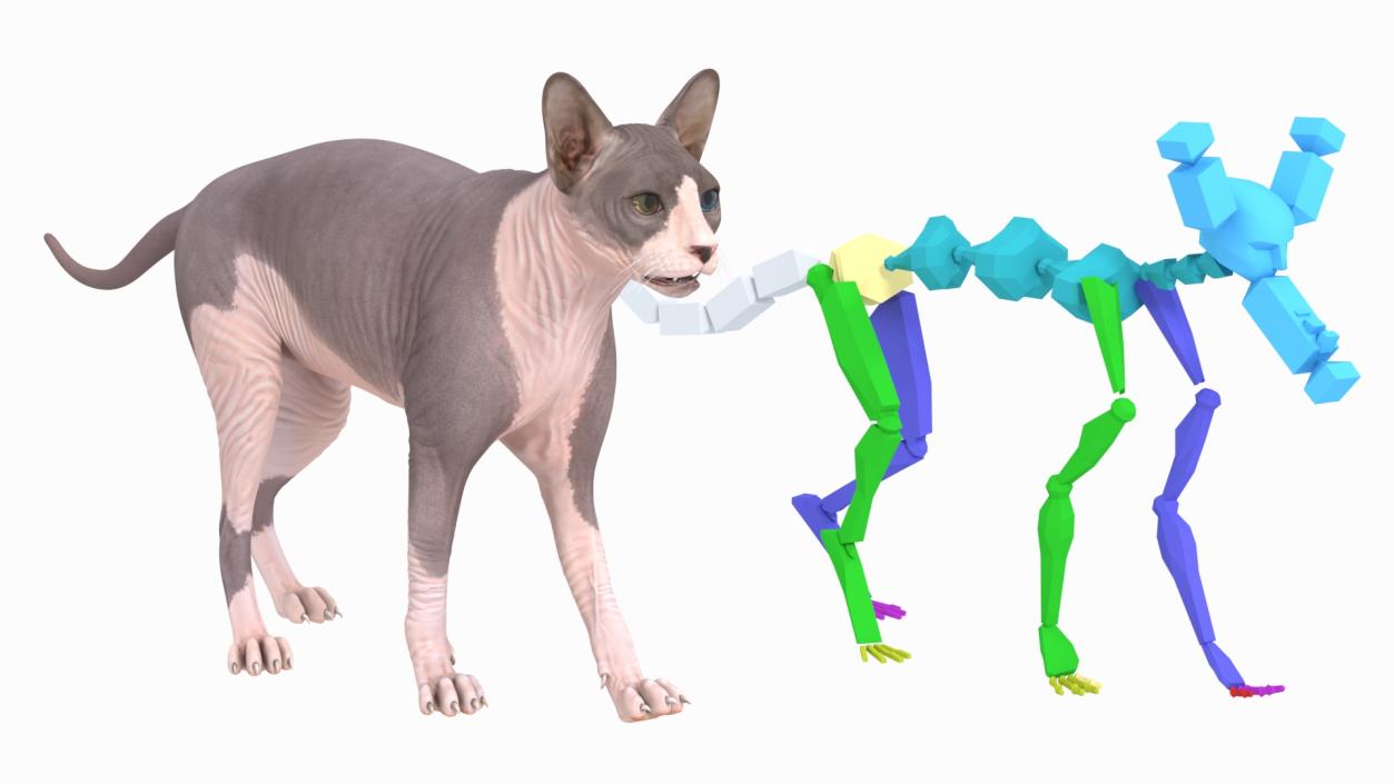 3D Rigged Sphynx Cat with Cat Scratching Post Collection model