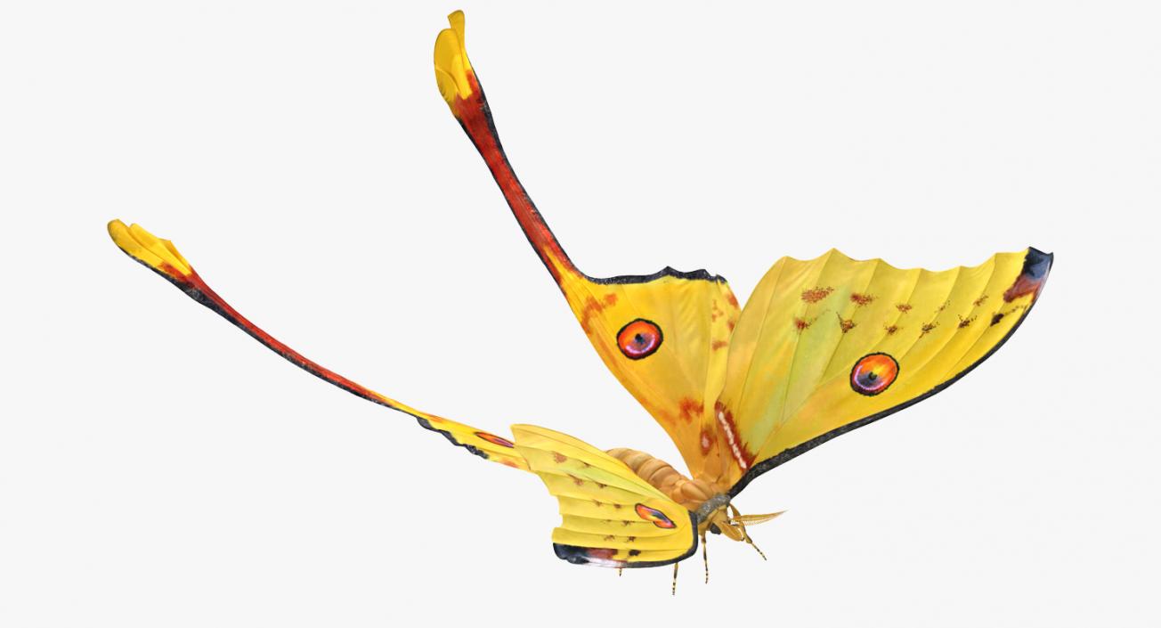 3D model Flying Insects Collection