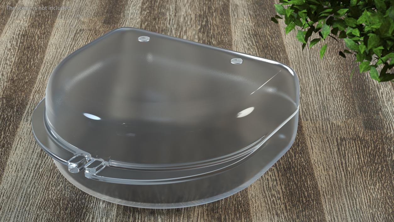 Transparent Mouthguard Case 3D