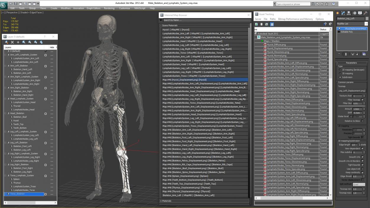 Male Skeleton and Lymphatic System 3D model