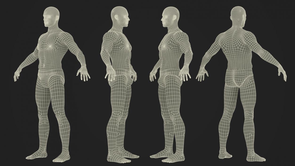 3D Male Physique Character A-pose Fur 2