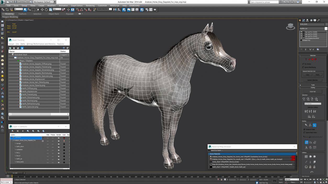 3D model Arabian Horse Gray Dappled Fur