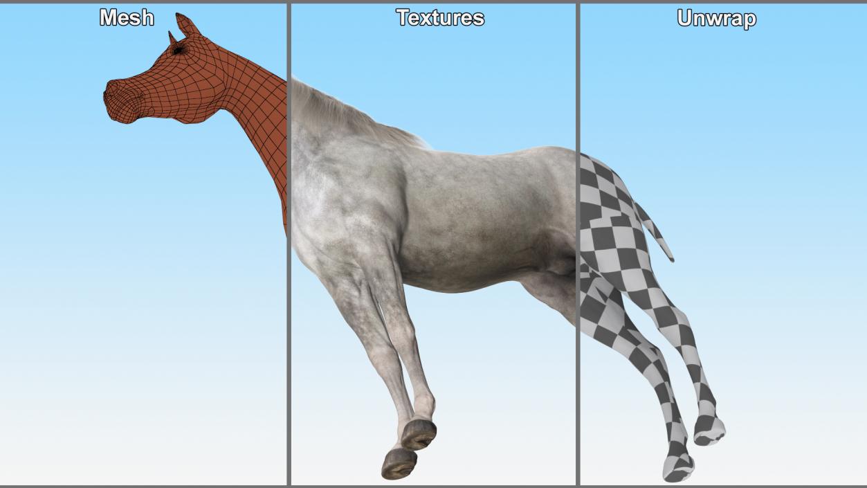 3D model Arabian Horse Gray Dappled Fur