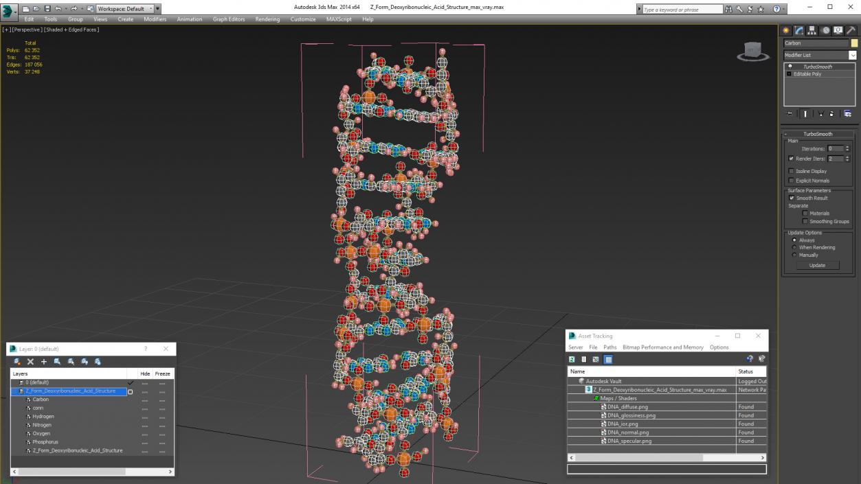 3D Z Form Deoxyribonucleic Acid Structure model