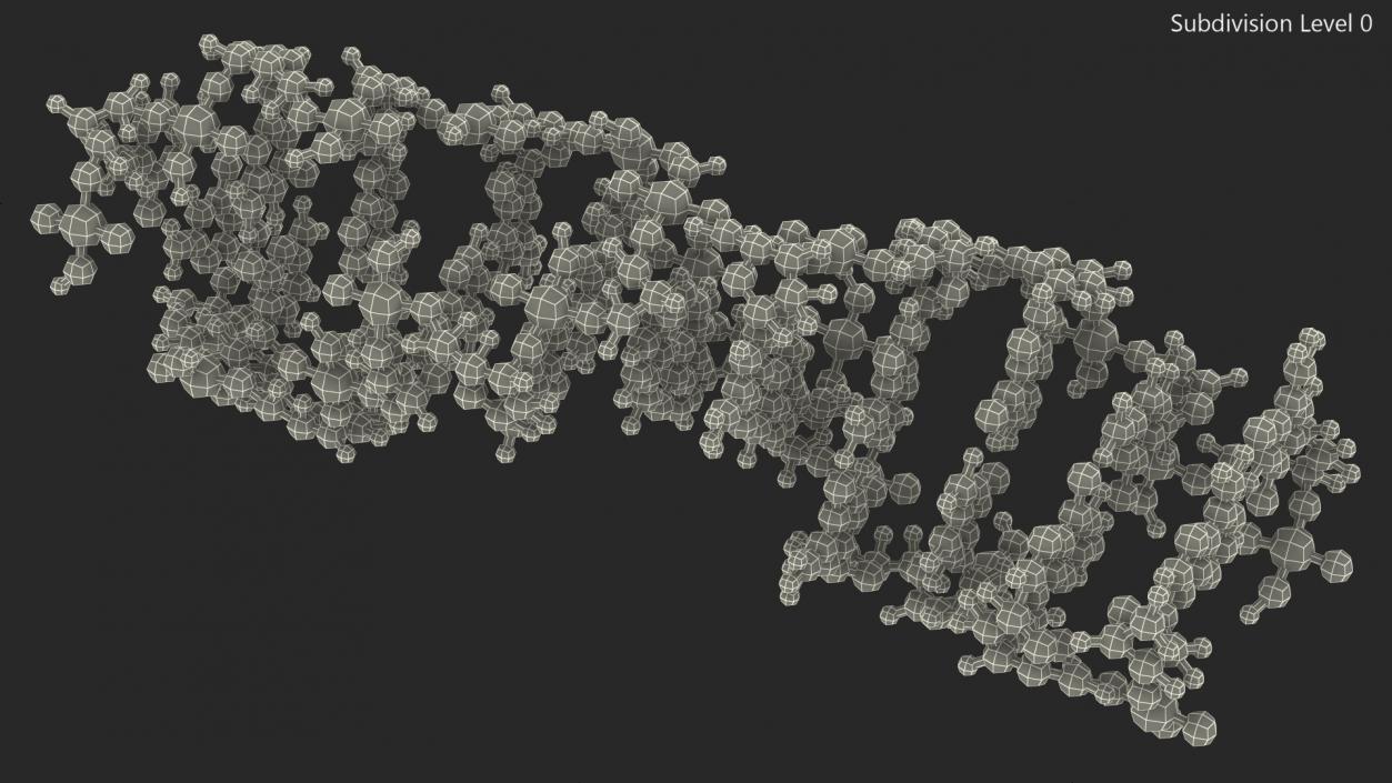 3D Z Form Deoxyribonucleic Acid Structure model