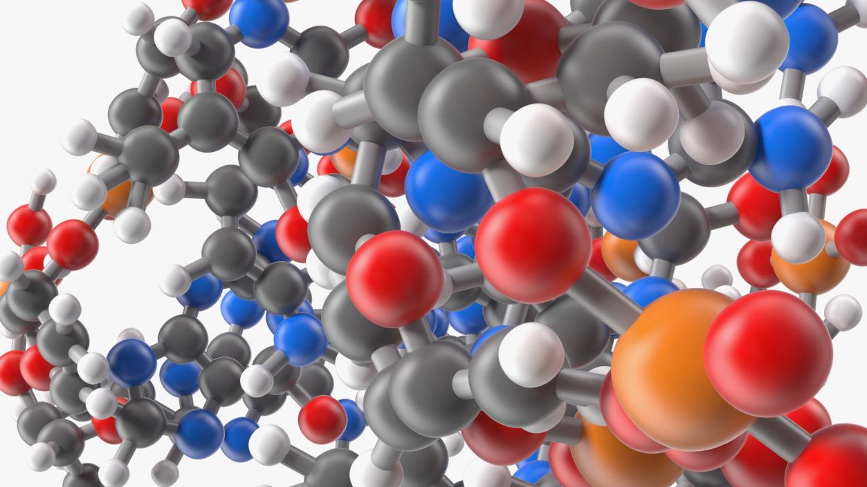 3D Z Form Deoxyribonucleic Acid Structure model