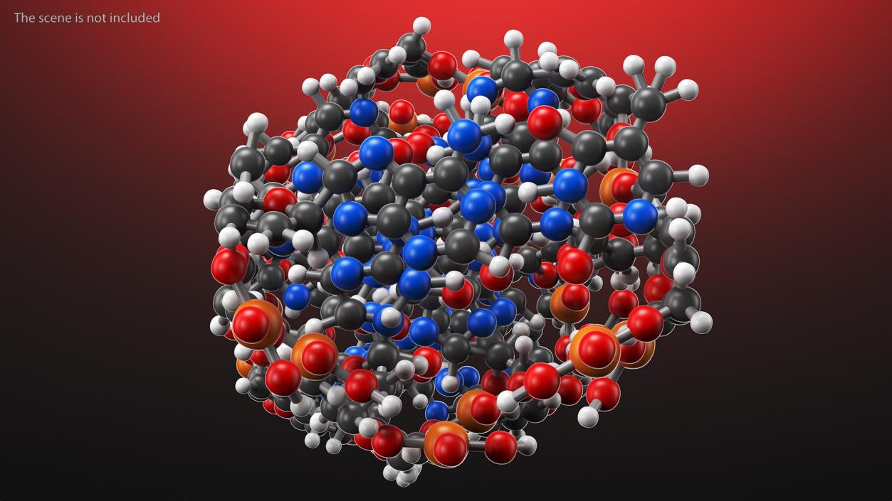 3D Z Form Deoxyribonucleic Acid Structure model