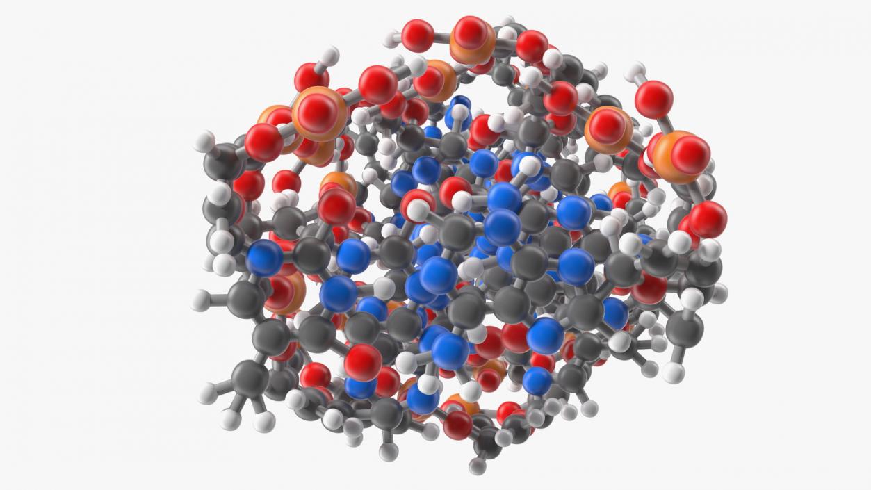 3D Z Form Deoxyribonucleic Acid Structure model