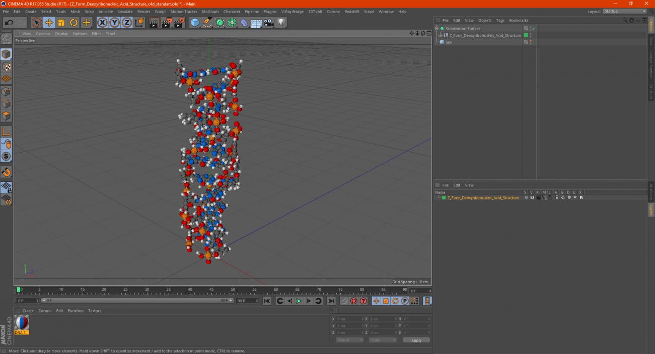 3D Z Form Deoxyribonucleic Acid Structure model