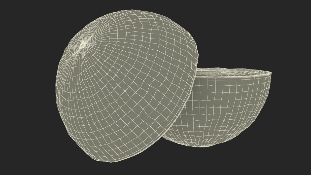 3D model Grapefruit Citrus Fruit Cut in Half