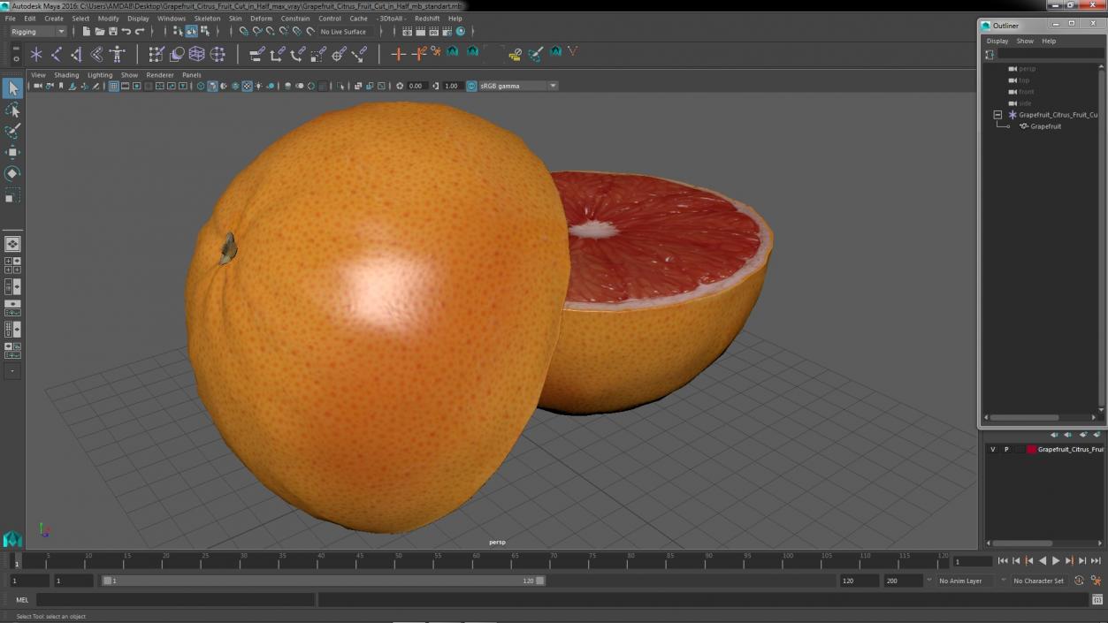 3D model Grapefruit Citrus Fruit Cut in Half