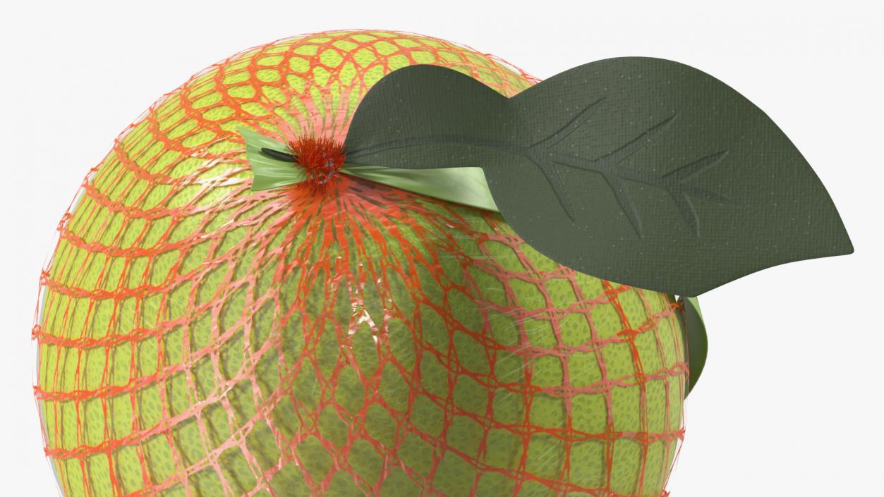 3D Pomelo Green Fruit Package Fur(1) model