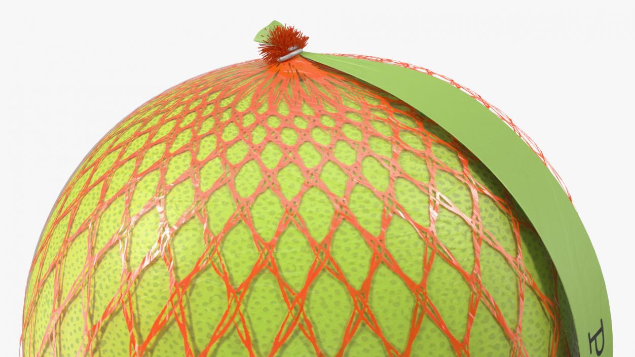 3D Pomelo Green Fruit Package Fur(1) model