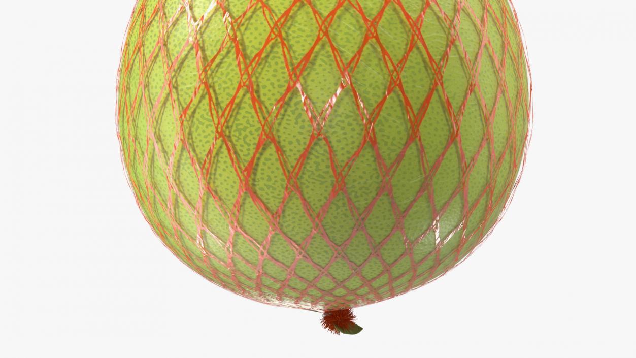 3D Pomelo Green Fruit Package Fur(1) model