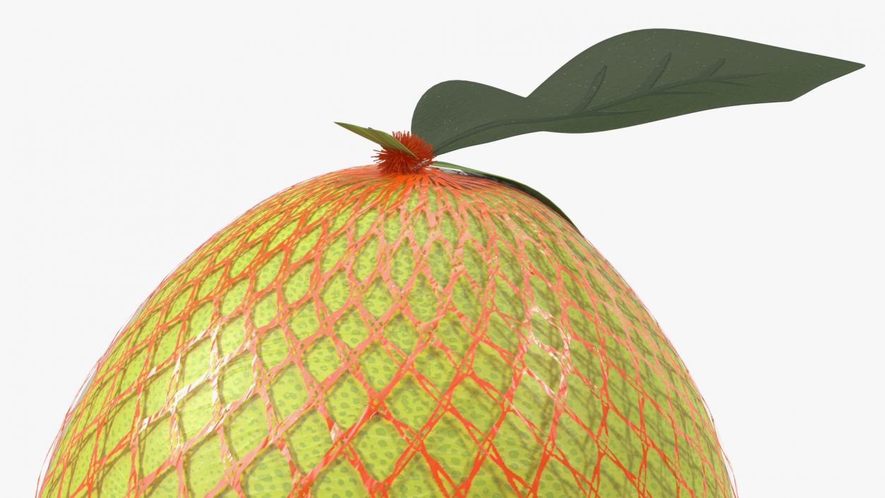 3D Pomelo Green Fruit Package Fur(1) model