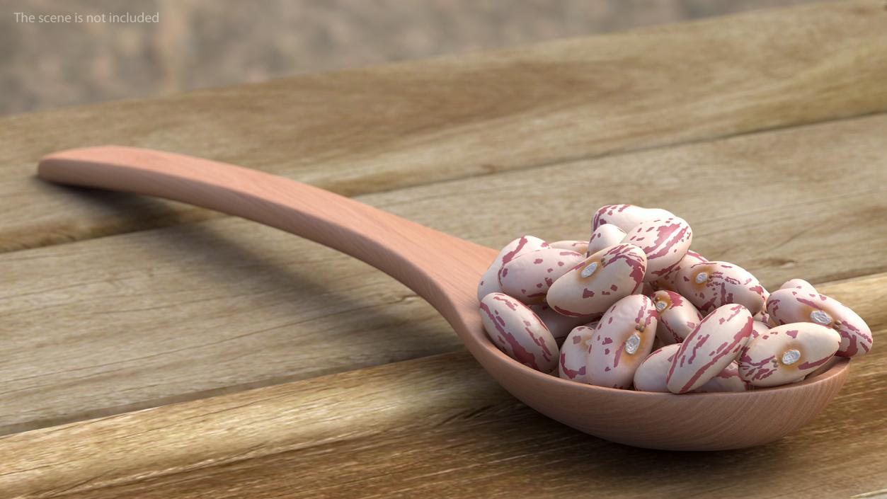 3D Roman Bean In a Wooden Spoon model