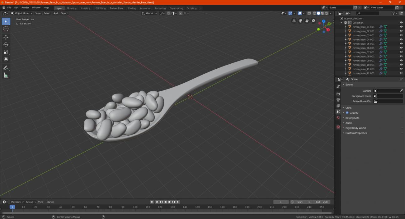 3D Roman Bean In a Wooden Spoon model