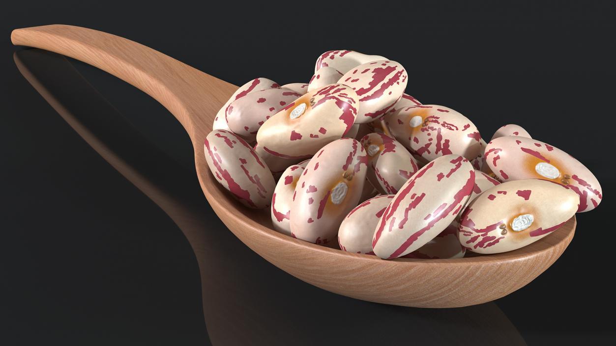 3D Roman Bean In a Wooden Spoon model