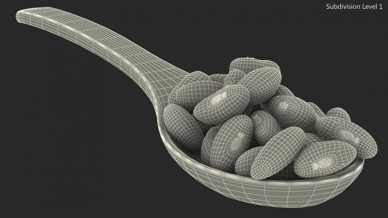 3D Roman Bean In a Wooden Spoon model