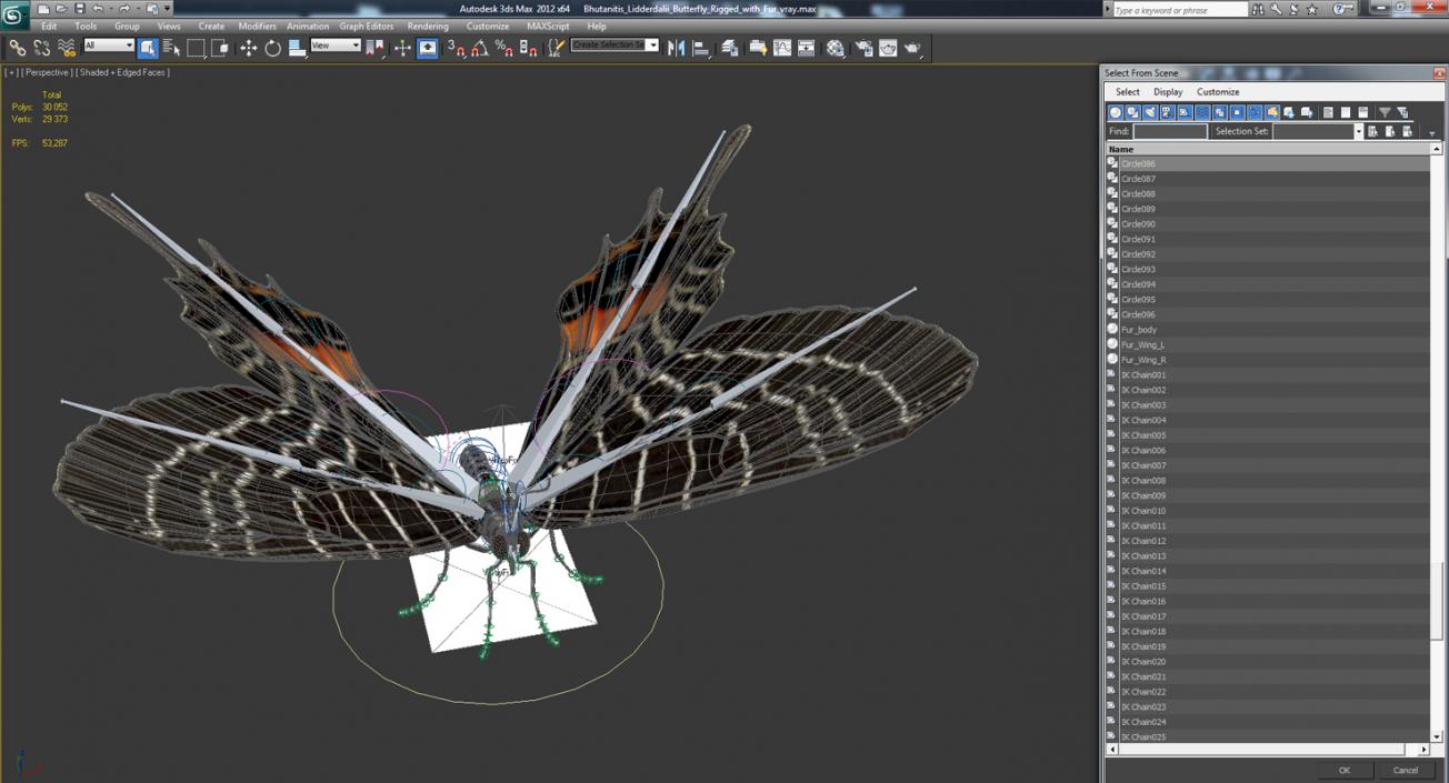 3D Bhutanitis Lidderdalii Butterfly Rigged with Fur model