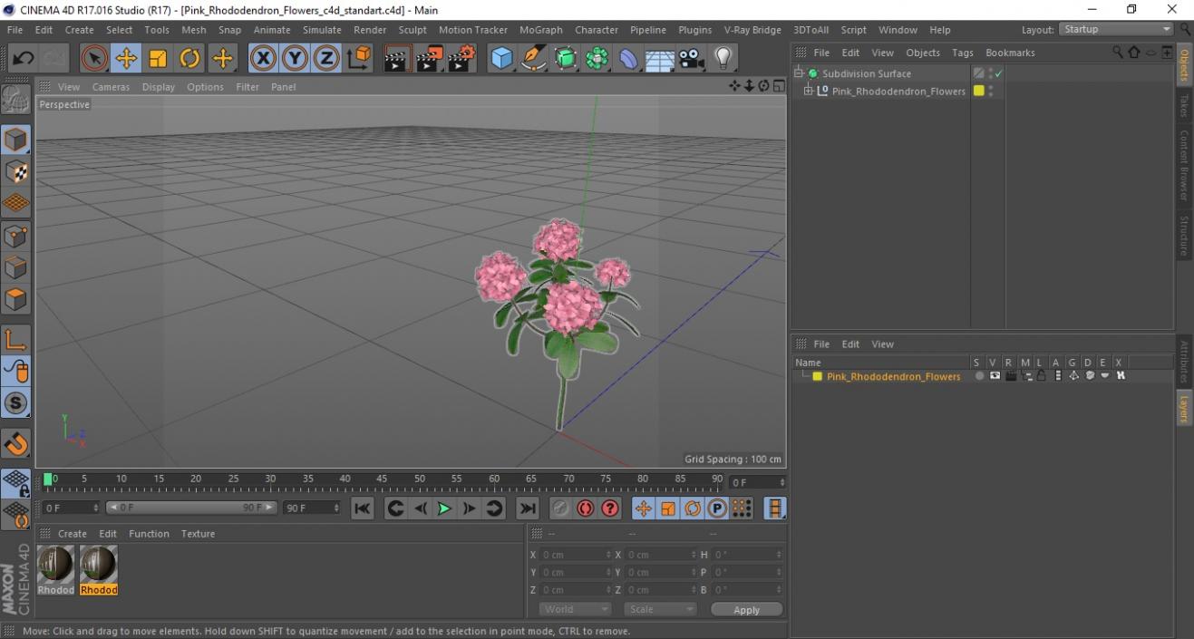 3D model Pink Rhododendron Flowers