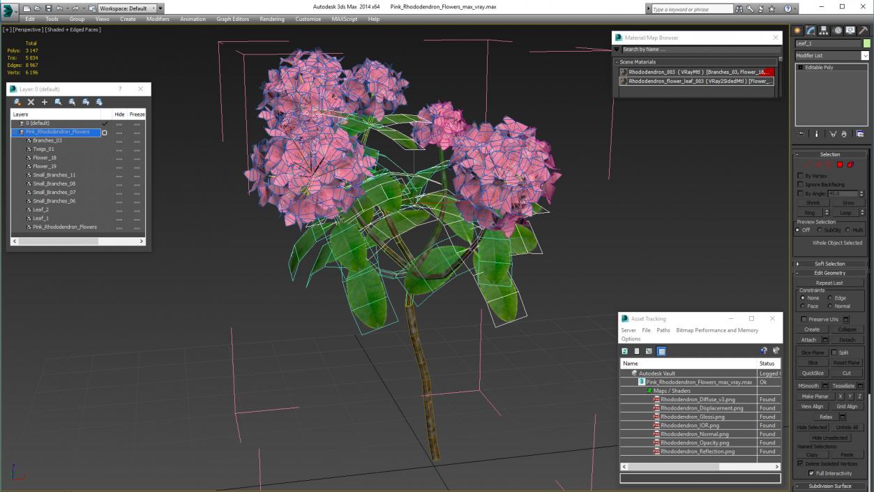 3D model Pink Rhododendron Flowers