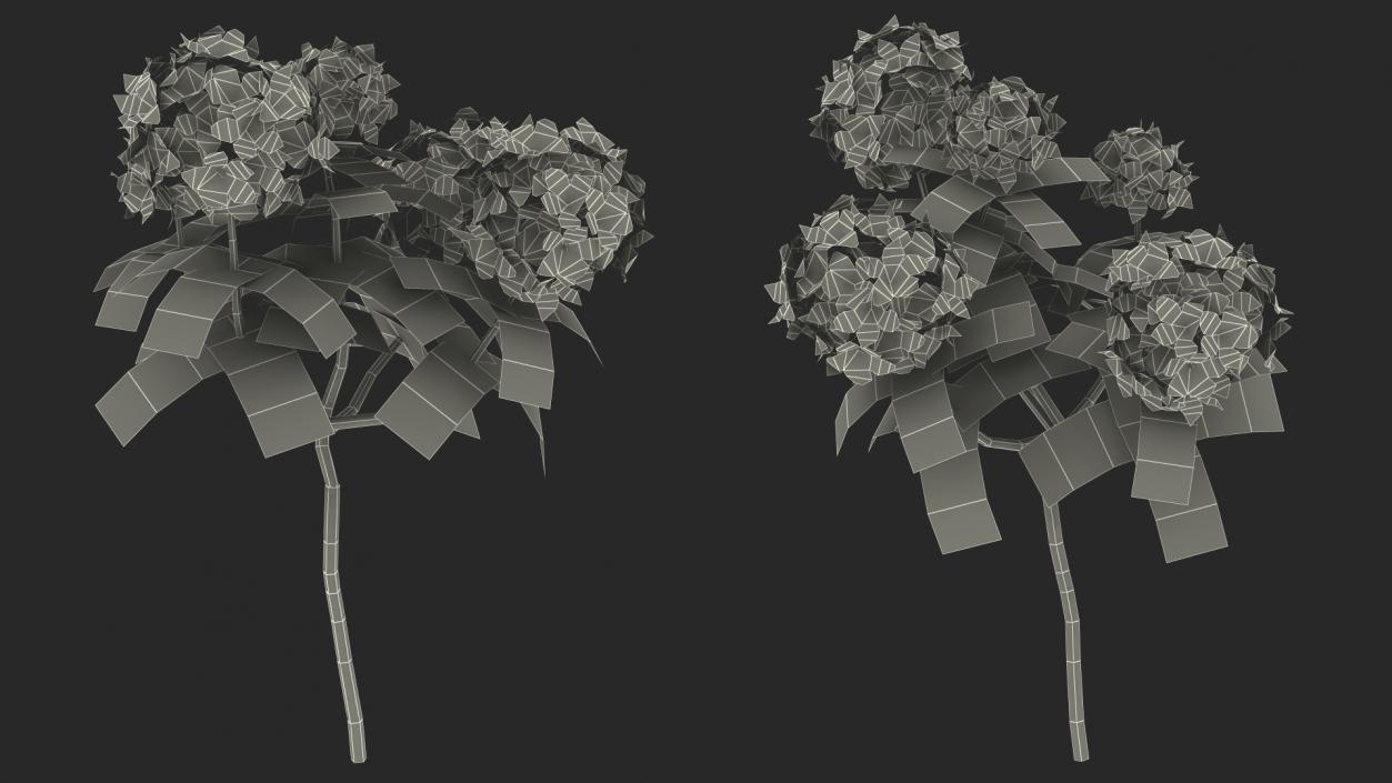 3D model Pink Rhododendron Flowers