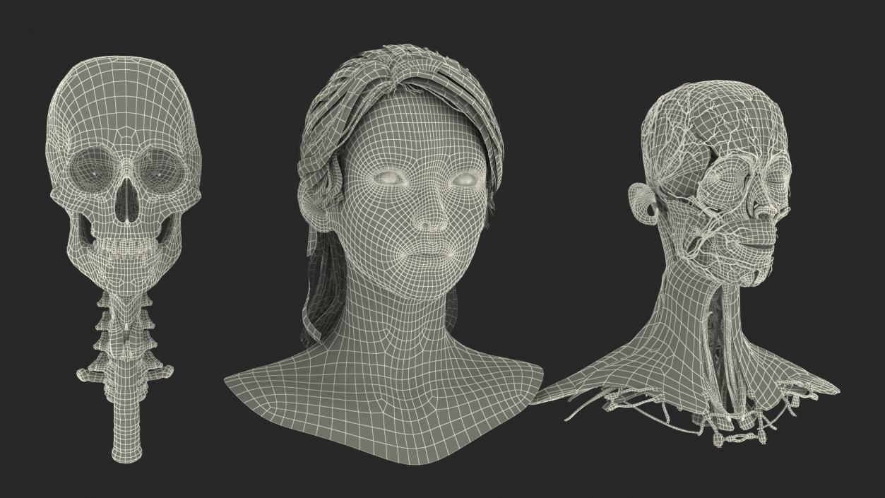 Head skin and Anatomy Asian Female 3D model