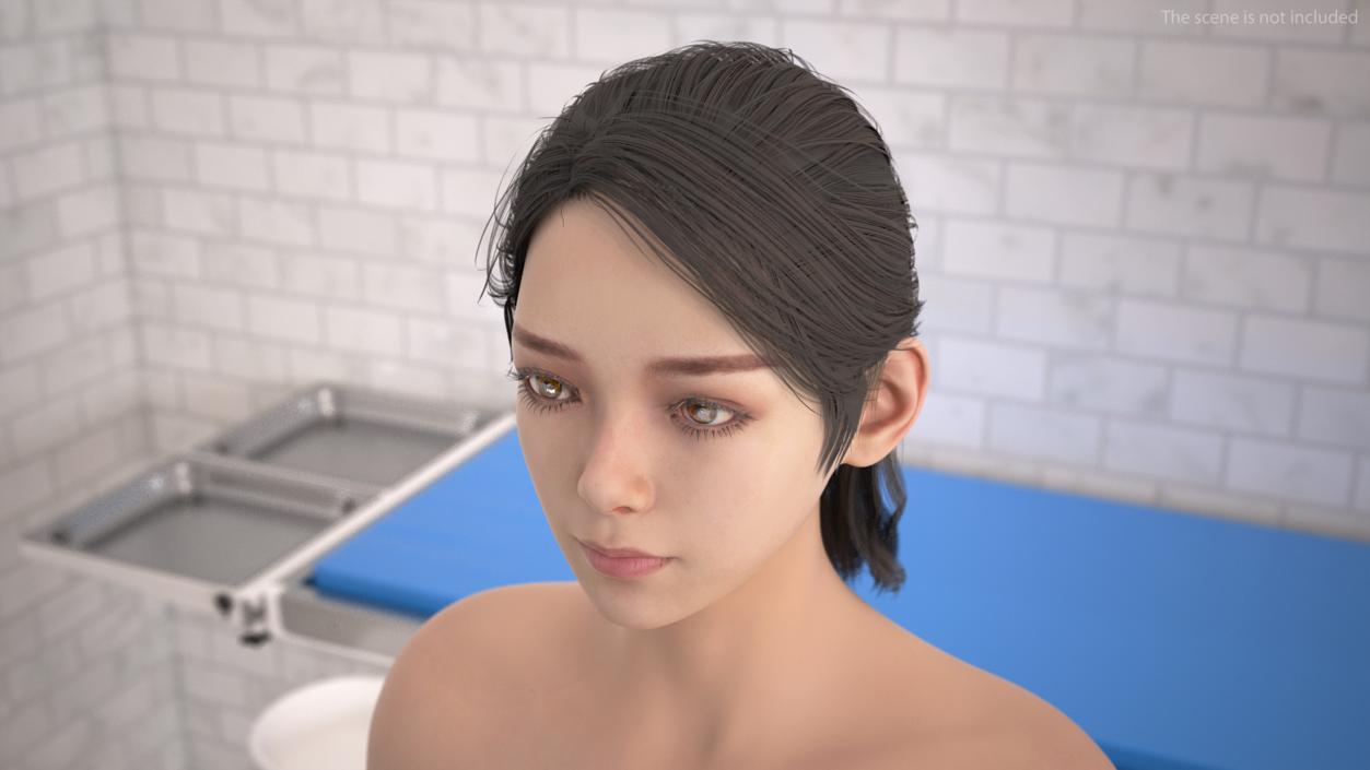 Head skin and Anatomy Asian Female 3D model