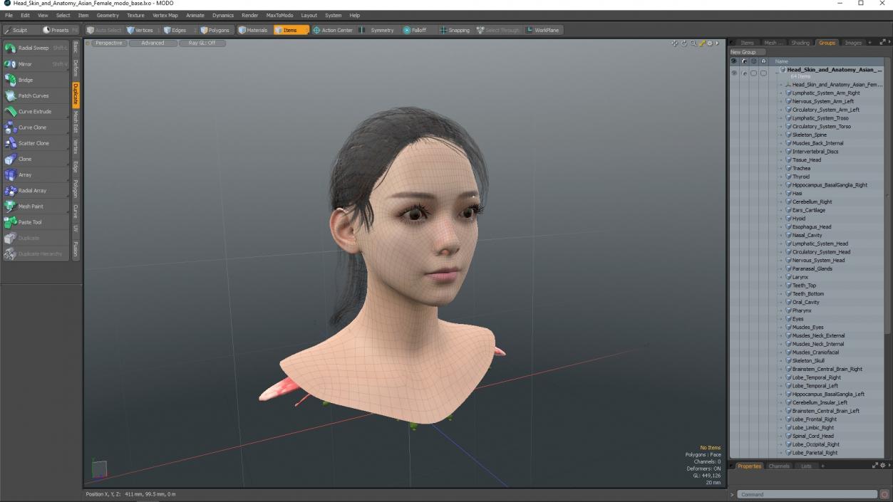 Head skin and Anatomy Asian Female 3D model