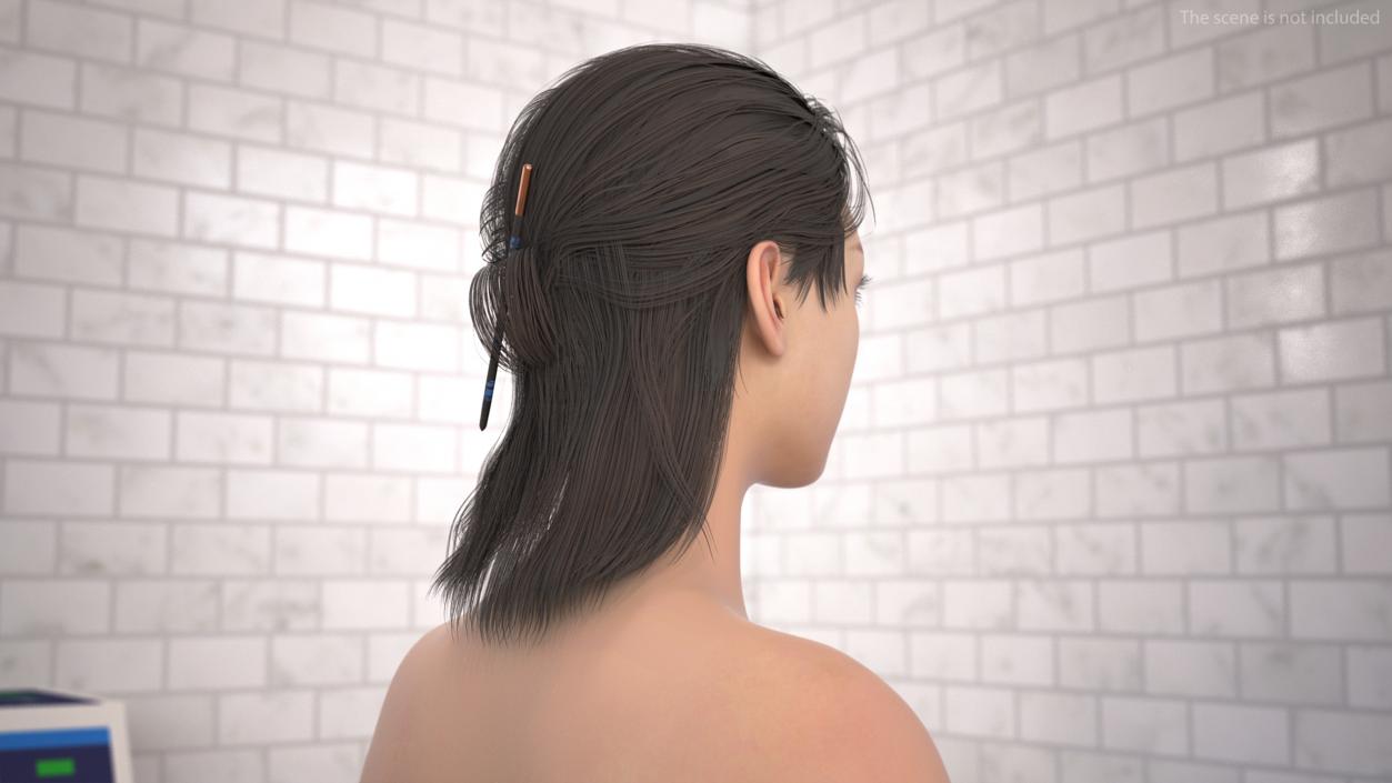 Head skin and Anatomy Asian Female 3D model