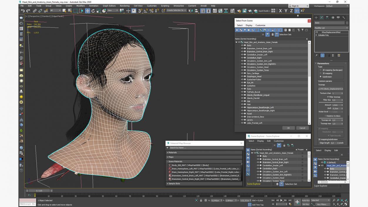 Head skin and Anatomy Asian Female 3D model