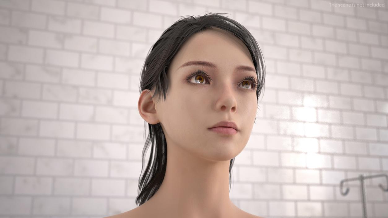 Head skin and Anatomy Asian Female 3D model