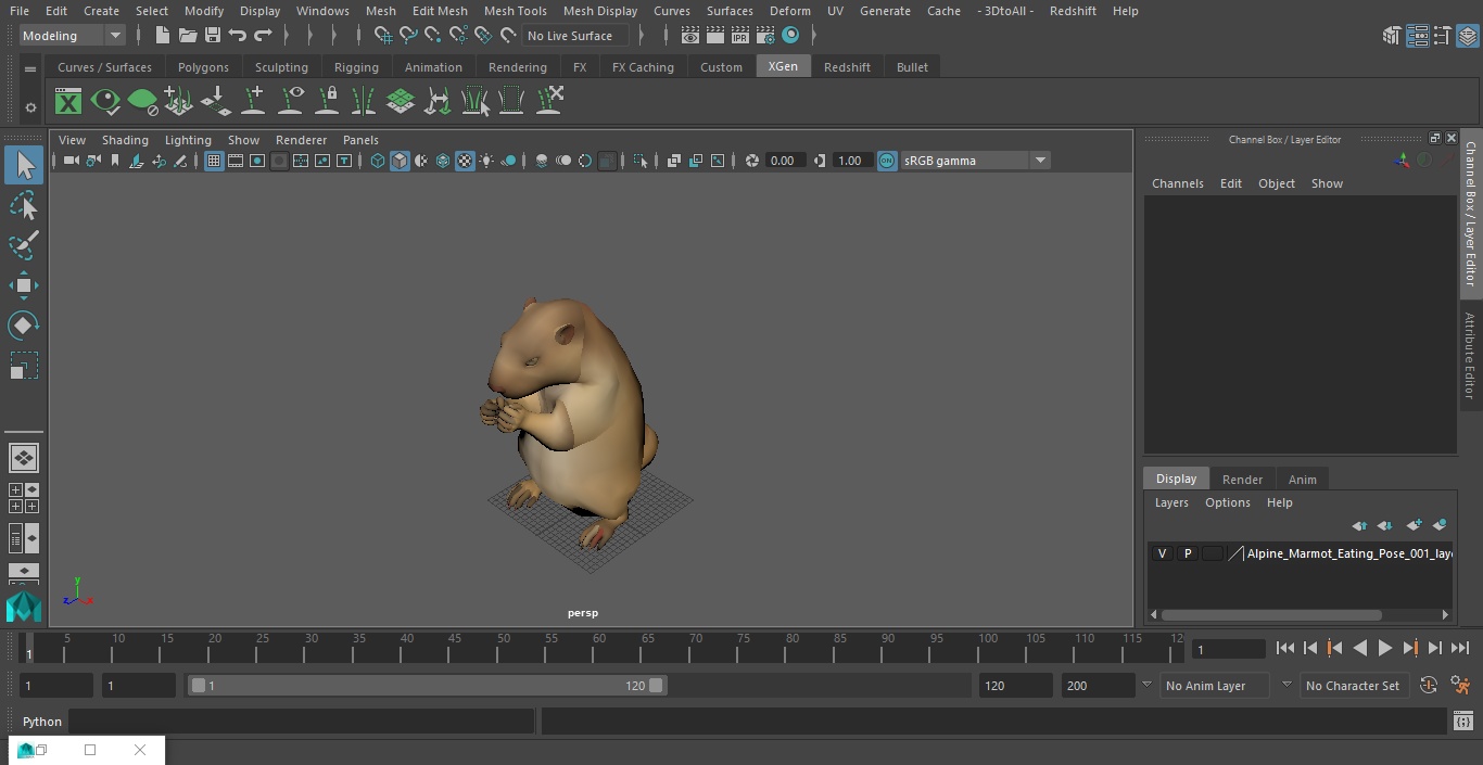 3D model Alpine Marmot Eating Pose